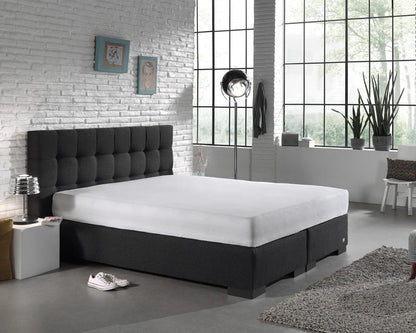 Molton Sheet