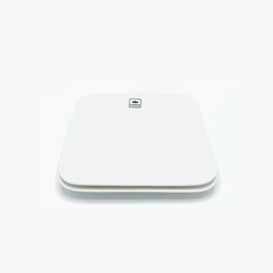 Porcelain Plate Set